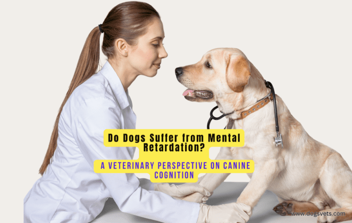 Do Dogs Suffer from Mental Retardation? A Veterinary Perspective on Canine Cognition